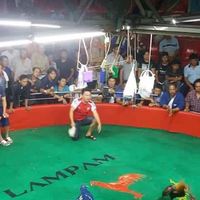 ซุ้ม กระเรียนดำ เชียงราย