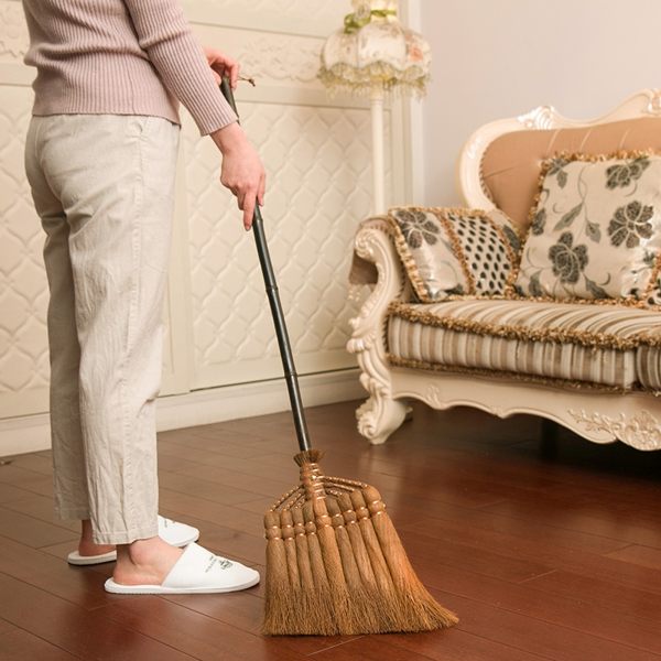藝帚 加長柄棕掃把軟毛笤帚 木地板清潔家用加厚掃帚簸箕組合WD 檸檬衣舍