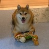 俊毅生活小舖