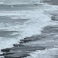 一日之雅~山水竹林雲與霧~還有那若有似無的風...