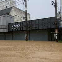 สินค้าน้ำท่วม ราคาถูก