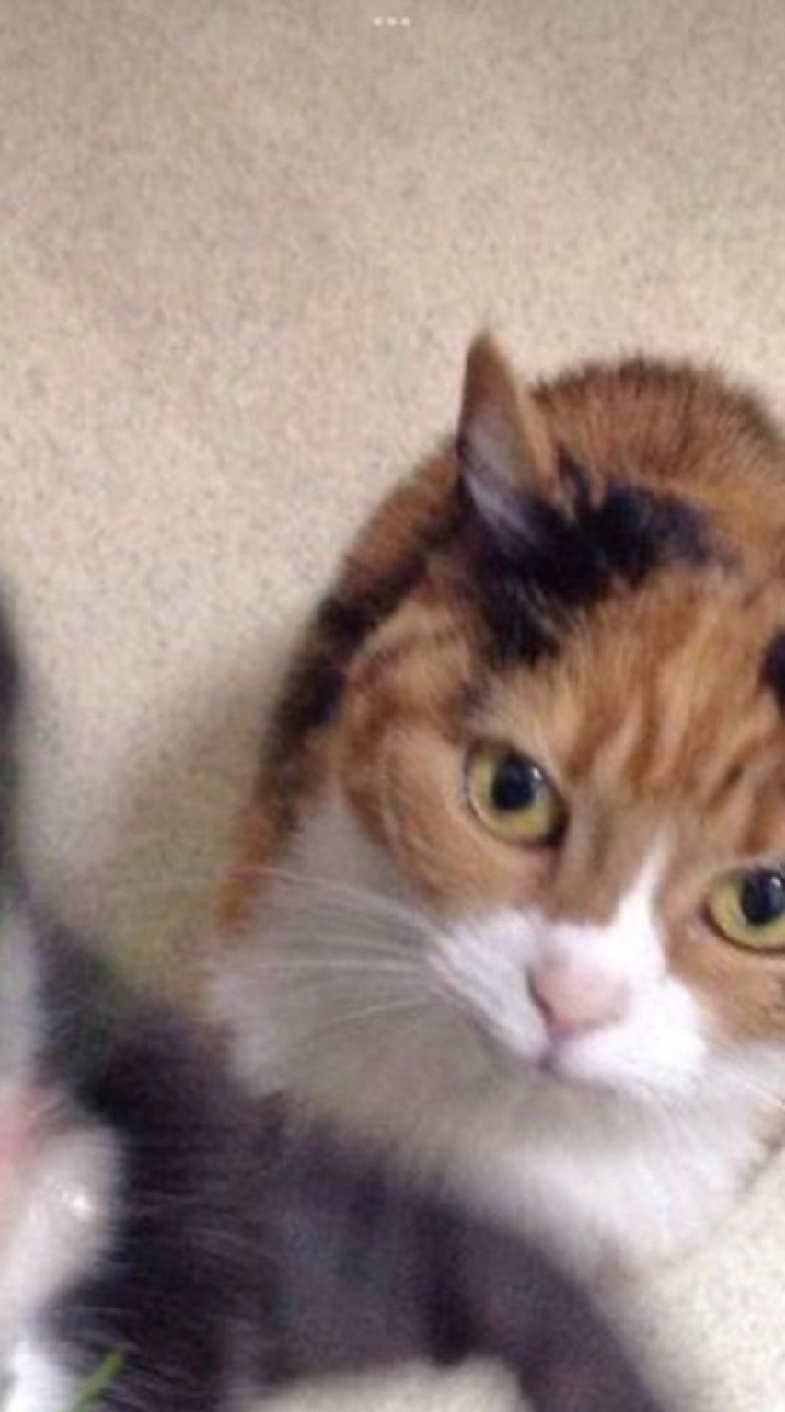 คิดชื่อไม่ออก.