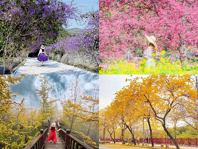 南投花季懶人包 一年四季限定美景 相約浪漫賞櫻 旅圖readygo Line Today