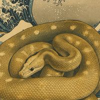 夢爬殿 Dream Reptiles
