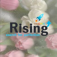 🌟瑞星管顧-酷澎遠端公告群組