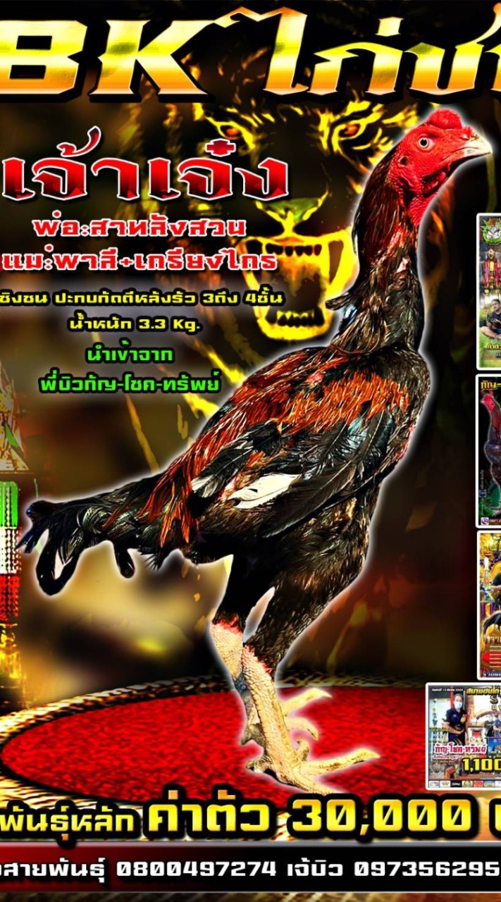 ซุ้ม BK ไก่ชน