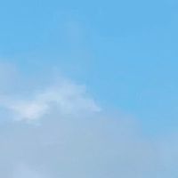 新建 31 便利Go