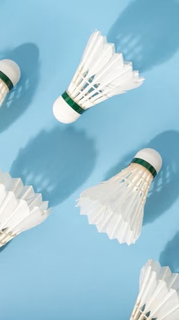 阿杜苗栗假日羽球團🏸🏸