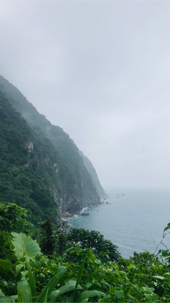 桃園市旅行商業7/20-7/24防疫課程