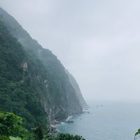 桃園市旅行商業7/20-7/24防疫課程