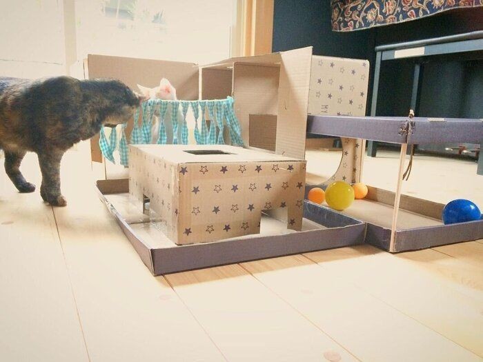 愛猫のためにみんな作ってた 飼い主手作りの猫おもちゃ