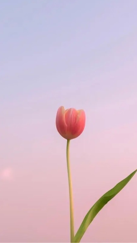 學員分享交流B 98