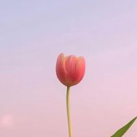 學員分享交流B 98