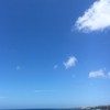 琉球大学