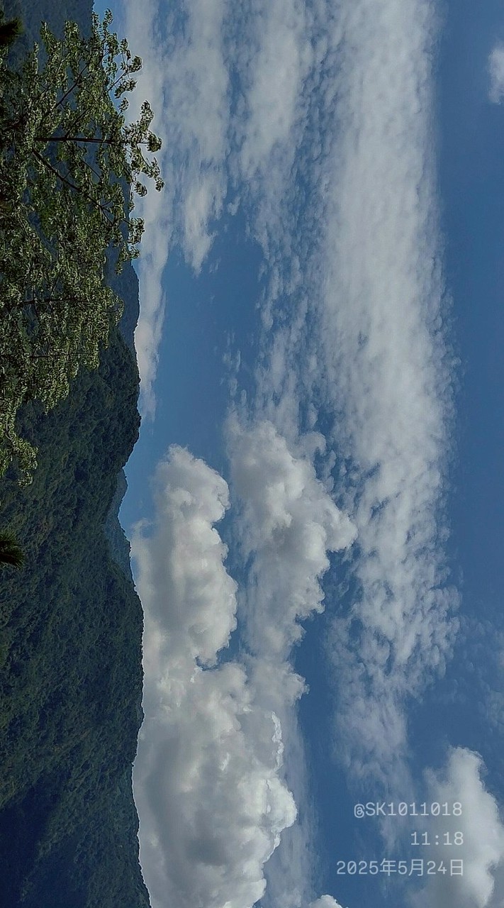 處關係