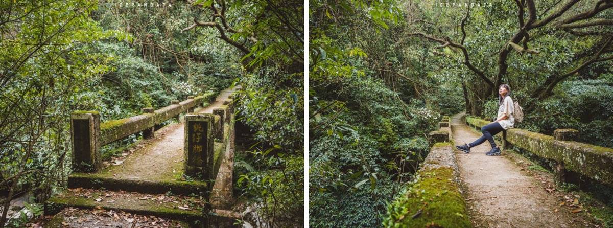 別只去故宮！士林６處「隱藏版景點」快衝：外雙溪祕境、IG暴紅「水中步道」