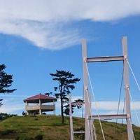 コバルトライン 女川 宮城 情報交換