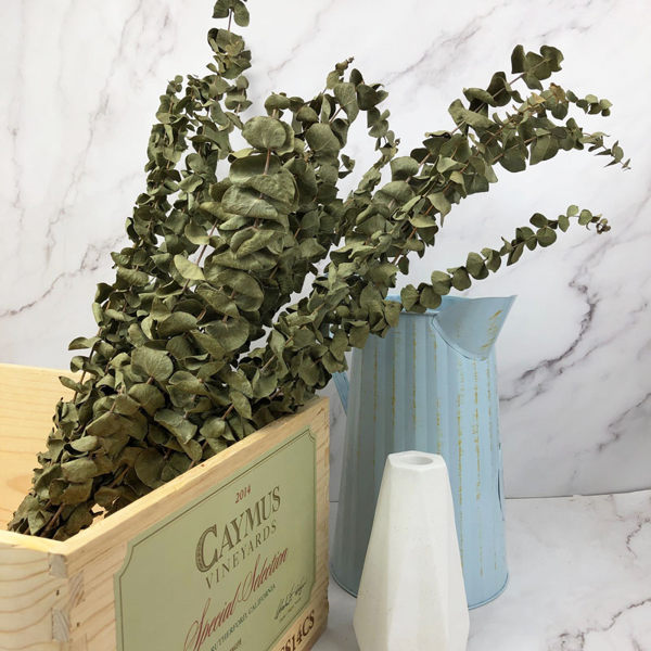 進口乾燥天然尤加利葉-乾燥花圈 乾燥花束 拍照道具 室內擺飾 乾燥花材 裝飾插花鄉村風-28元/支