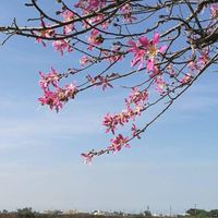 新保健養生交流群