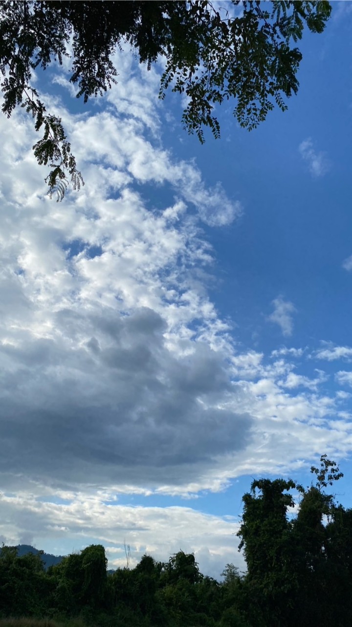 ลงรูป by. 𝑴𝒚 𝑴𝒊𝒏𝒕 ˚🍮.ᐟ