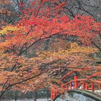 北関東登山部×コトリ隊