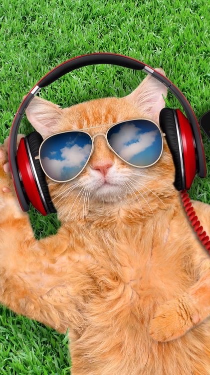 ☀️ เพลงเพราะโดนใจ ผ่อนคลายตามอารมณ์ ❤️🎶🎸