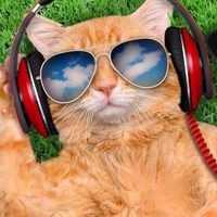 ☀️ เพลงเพราะโดนใจ ผ่อนคลายตามอารมณ์ ❤️🎶🎸