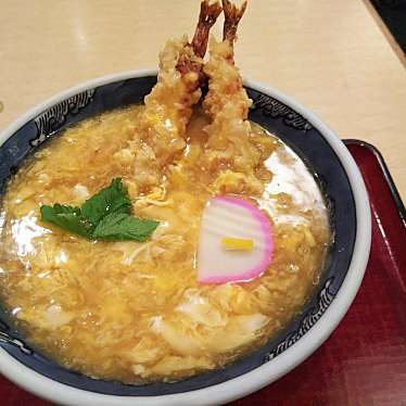 メニュー 大阪うどん きらく 真美ヶ丘店 真美ヶ丘 五位堂駅 うどん By Line Conomi