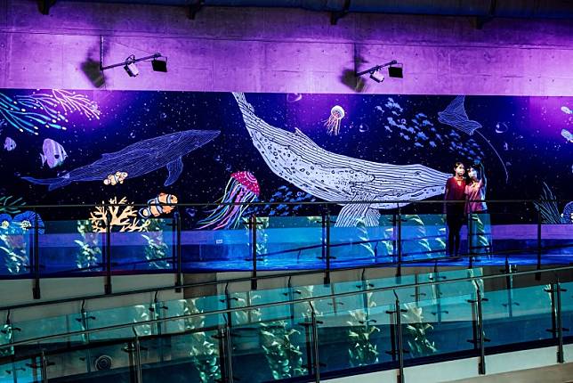 ▲圖片來源：屏東國立海洋生物博物館