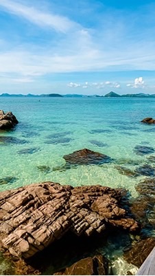 Happy Eat and travel ตกหมึก กางเต็นท์ เข้าป่า ลงทะเล