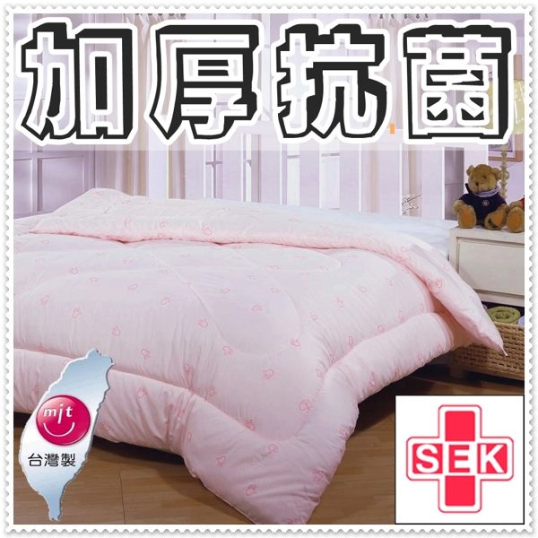 單人棉被胎 防螨抗菌單人被胎4.5x6.5尺 單人冬被 附精裝收納提袋 台灣製造【老婆當家】