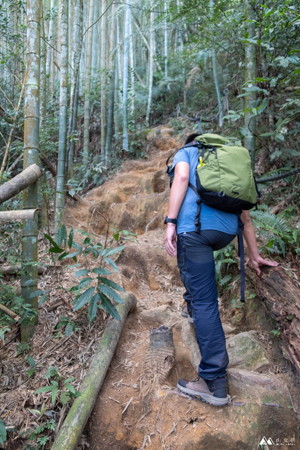 山女孩MelissaxMao冒險生活_水社大山_日月潭登山_路線分享-30.JPG