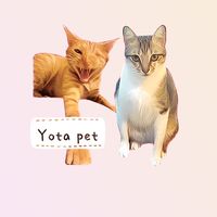 Yota pet 有牠寵物🐱🐶