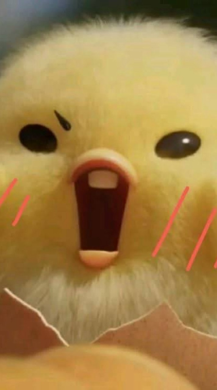 『 ไก่กุ๊กดุ๊กดิ๊ก 🐣 』