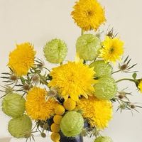 樹洞(情緒、心情、生活)