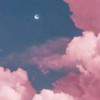 🪽‪SAKURA色ﾊﾟﾚｯﾄ🪽‪   【🎀芸能人なりきり🎀】