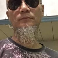 含羞草
