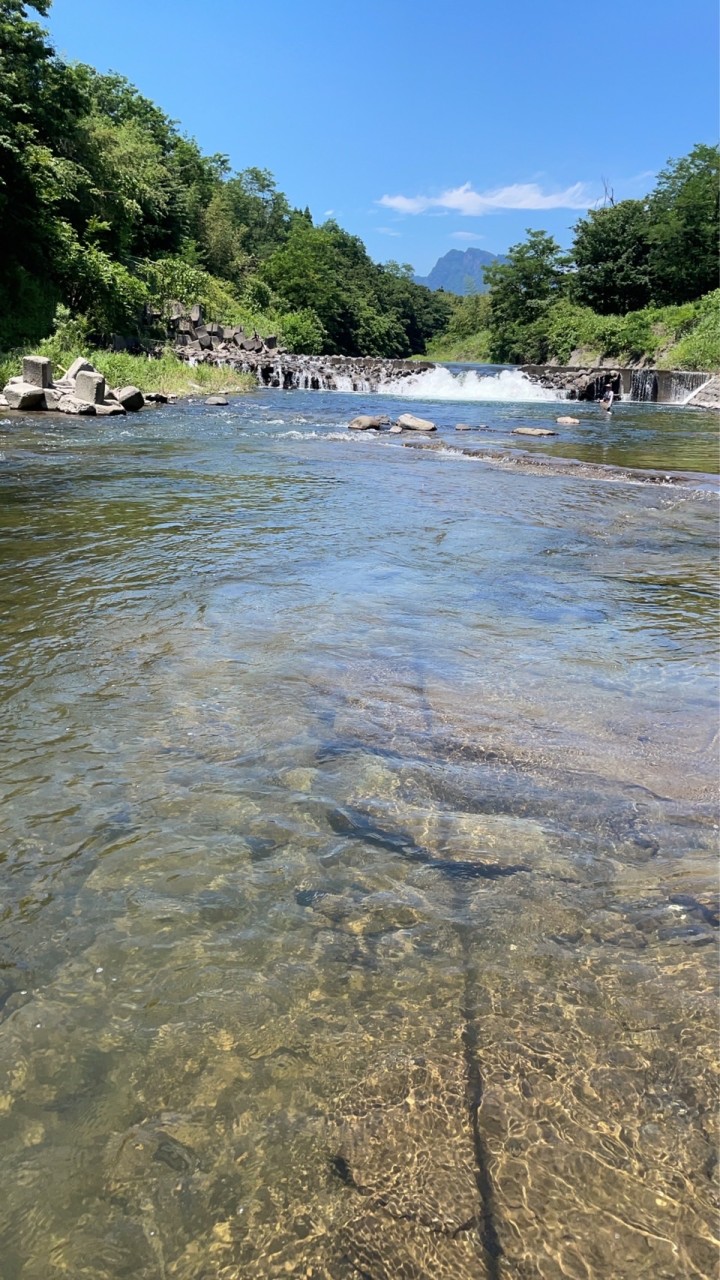 北関東鮎釣り情報交換🎣