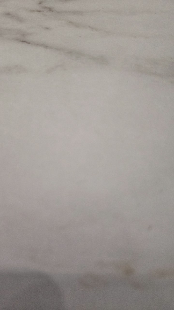 夢幻花園&盪鞦韆