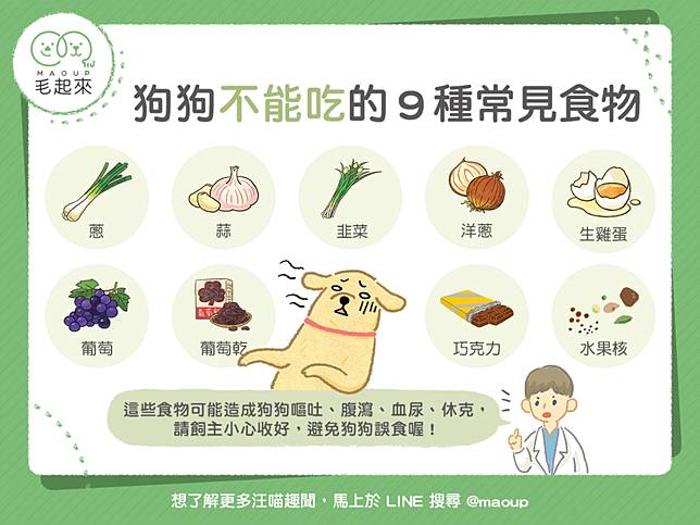 毛孩食材圖鑑 一定要記起來 狗狗不能吃的9種常見食物 毛起來 Line Today