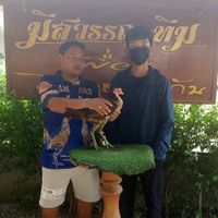 ซุ้ม พยัคฆ์เมฆา