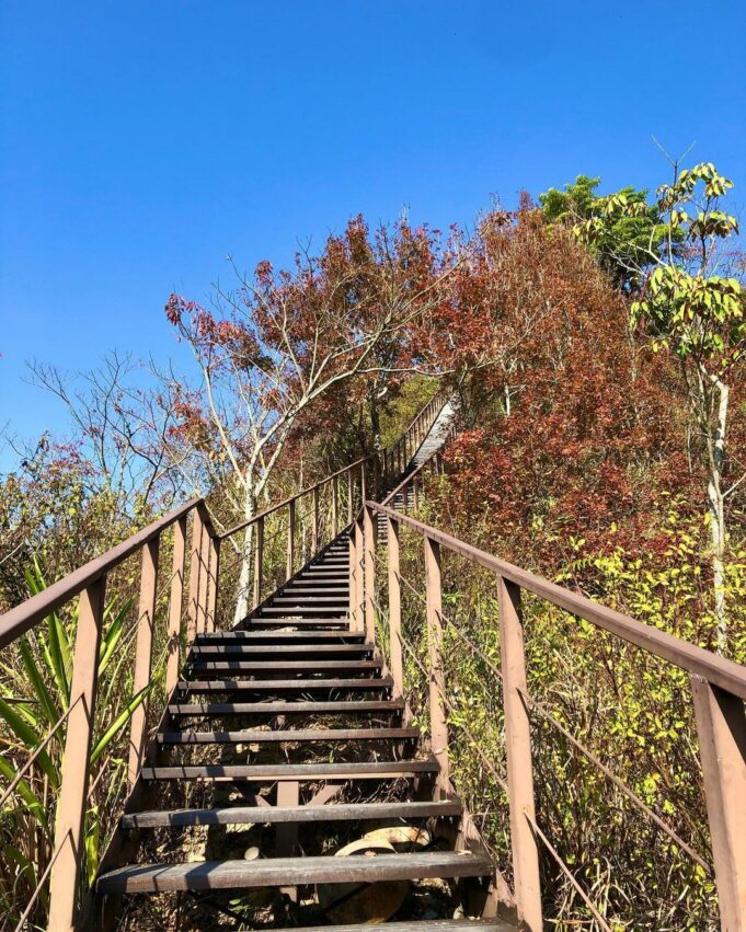 九九峰森林步道 九九峰森林步道｜南投草屯第一景，結合自然生態與藝術氣息的環狀森林步道! 3 2022