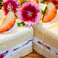 🍓新規募集🍓大人のひととき雑談☕🍮ライブトーク🚬