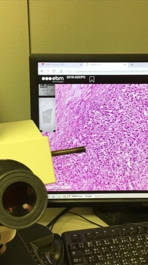 2025MKC護3-1病理學