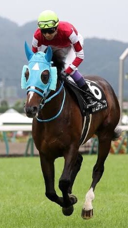 競馬予想のオープンチャット