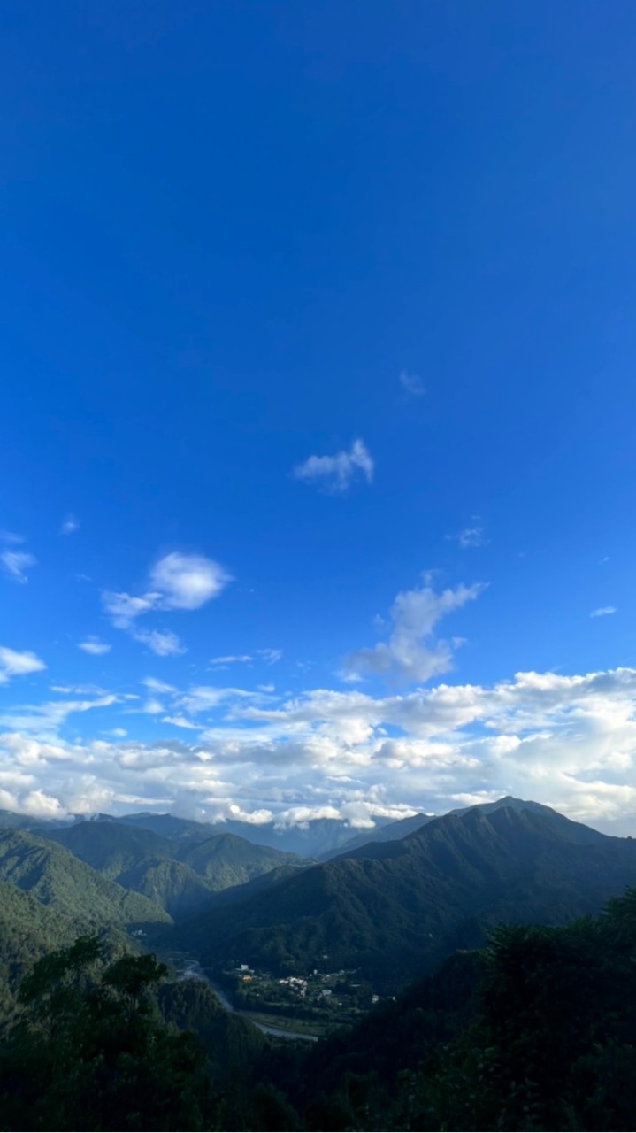 大同區 好市多代購群