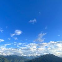 大同區 好市多代購群