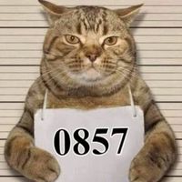 #678 [Ttw]