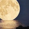 40+50+ 💫漫漫人生路,許我半盞清茶