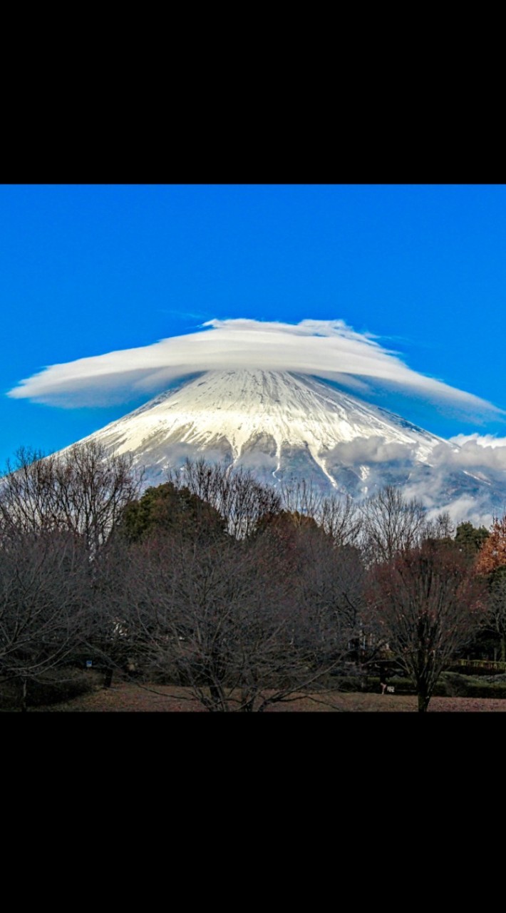 また、あした【発言禁止】